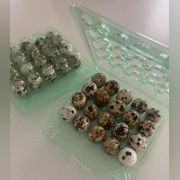 Яйцо перепелиное 2 десятка